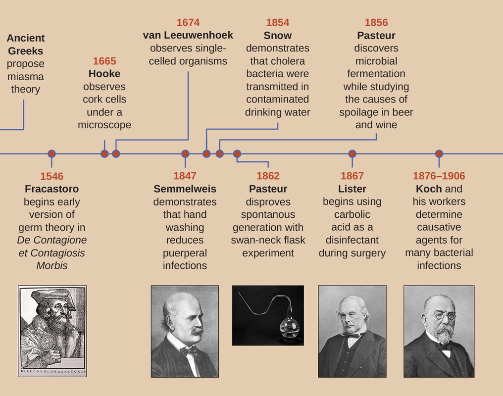 germ theory of disease timeline