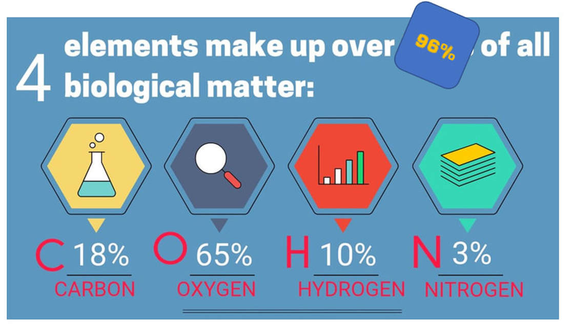 what 4 elements make up 96 of living matter
